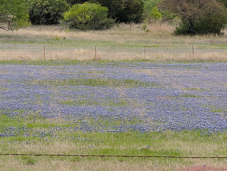 Secluded Texas Ranch Retreat with Panoramic Views - Goldthwaite, Texas