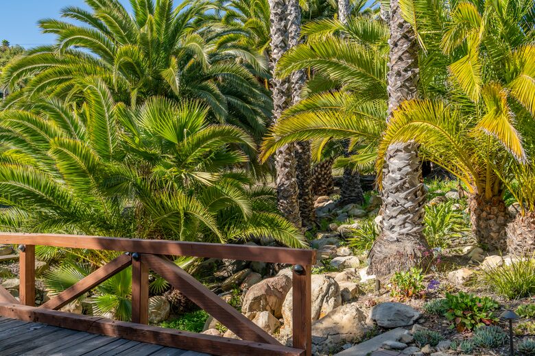 Private creek that flows under your private wooden bridge