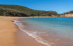 Deer Park Estate | 340° National Park Views from a Private 20-Acre Estate - Lemon Tree, Australia