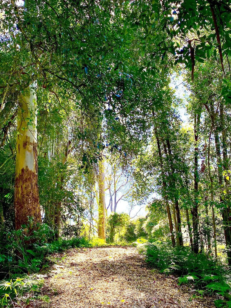 Deer Park Estate | 340° National Park Views from a Private 20-Acre Estate - Lemon Tree, Australia