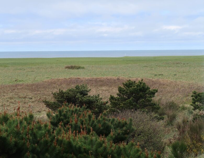 Coastal View Retreat at Highlands Golf Course - Gearhart, Oregon