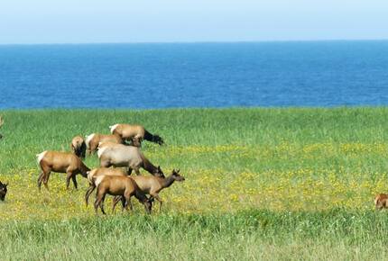 Coastal View Retreat at Highlands Golf Course - Gearhart, Oregon