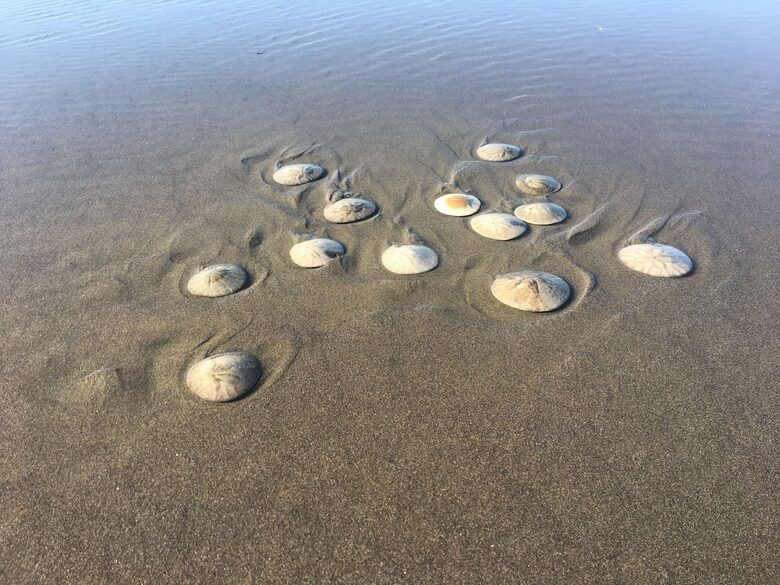 Coastal View Retreat at Highlands Golf Course - Gearhart, Oregon