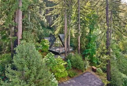 Perfect Napa A-Frame - Napa, California