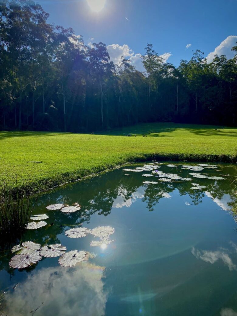 Deer Park Estate | 340° National Park Views from a Private 20-Acre Estate - Lemon Tree, Australia