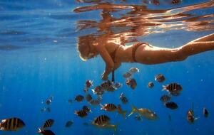 All-Inclusive 7-night TradeWinds AQUA Experience in Antigua on TW6e Catamaran with Crew - Jolly Harbour, Antigua and Barbuda