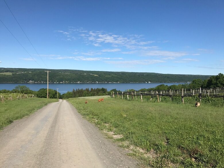 Modern Lake House on the Seneca Wine Trail - Burdett, New York