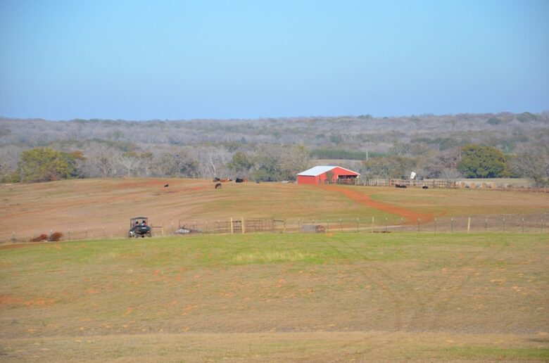 Circle M Ranch - Jewett, Texas