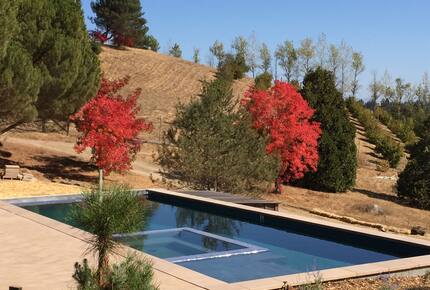 Pool and Fall Foliage