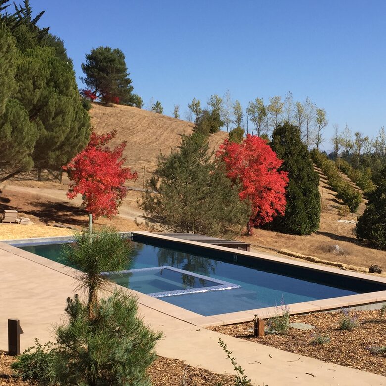 Pool and Fall Foliage