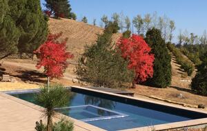 Pool and Fall Foliage