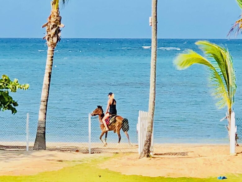 Oceanfront Sophistication in Playa Estillero - Samaná, Dominican Republic