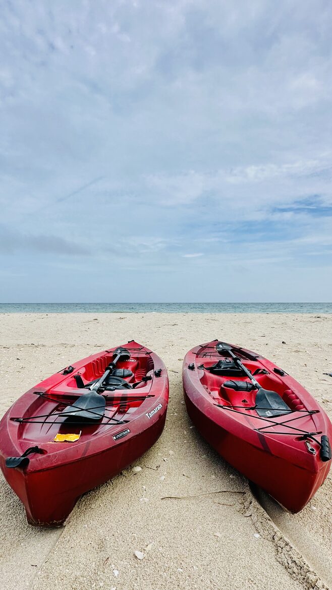 Sunset Shores Villa with Pool, Palapa & Oceanfront Views - Hunucmá, Mexico