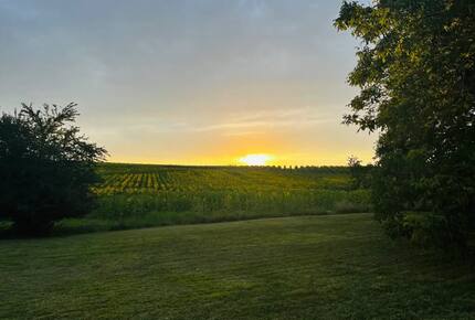 Elegant French Home with Heated Pool & Vineyard Views - Saint-Sernin, France