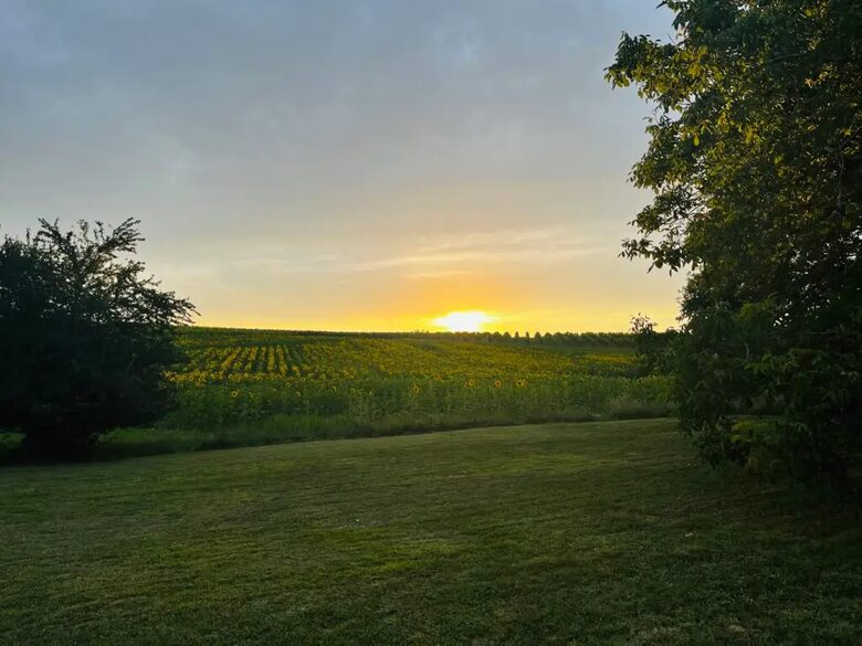 Elegant French Home with Heated Pool & Vineyard Views - Saint-Sernin, France