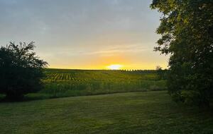 Elegant French Home with Heated Pool & Vineyard Views - Saint-Sernin, France