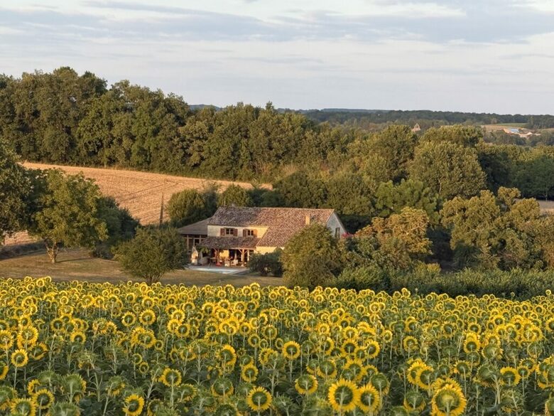Elegant French Home with Heated Pool & Vineyard Views - Saint-Sernin, France