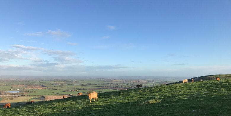 A Medieval Retreat on the Edge of Bath - Upton Scudamore Warminster, United Kingdom