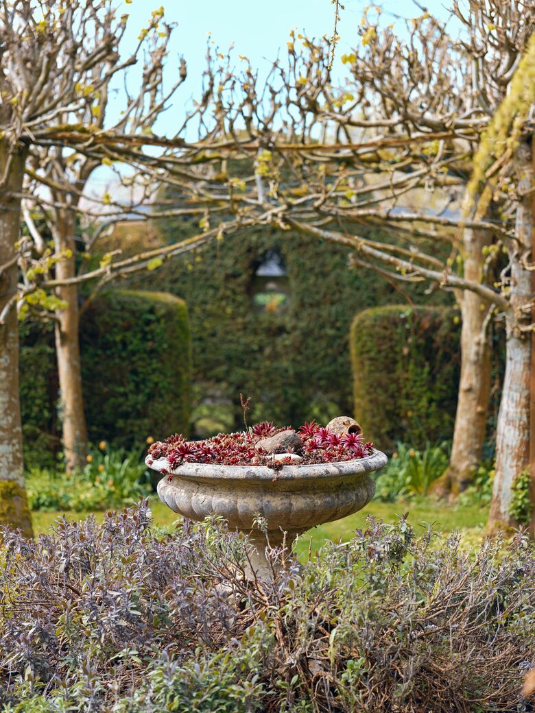 A Medieval Retreat on the Edge of Bath - Upton Scudamore Warminster, United Kingdom