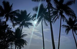 Nelly Bay Waterfront Apartment with Alfresco Living - Nelly Bay, Australia