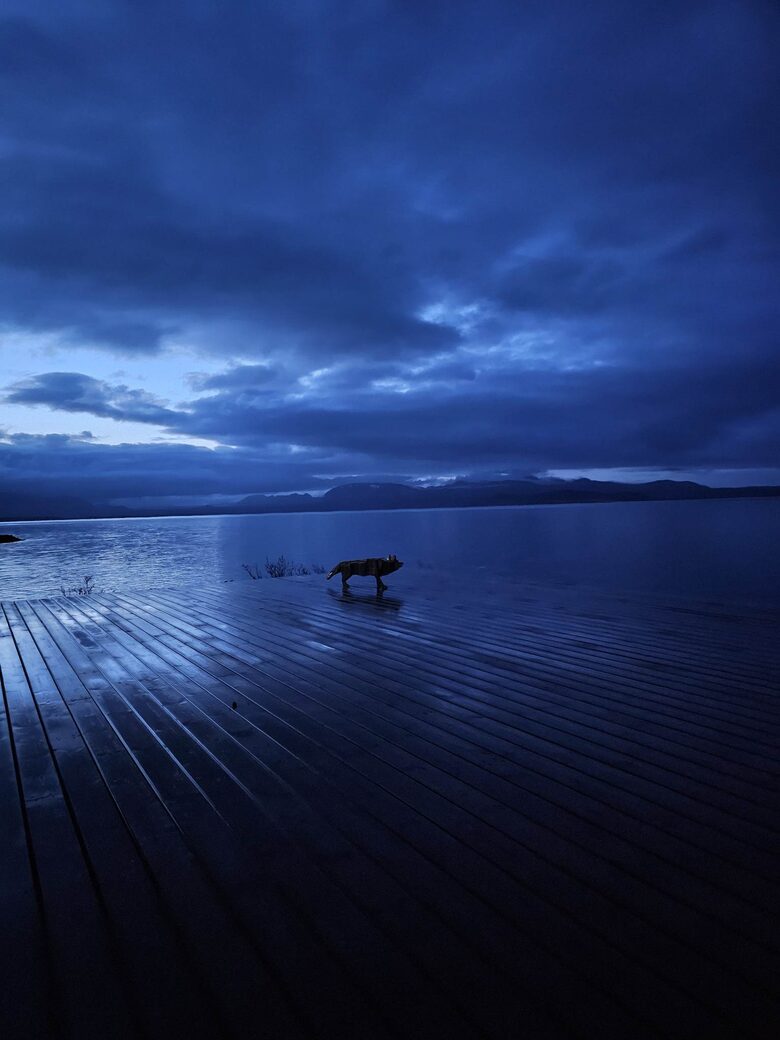 A Lakeside Tribute to Icelandic Heritage - Selfoss, Iceland