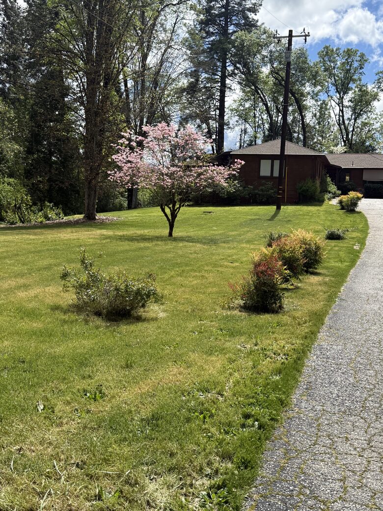 Nevada City Mid-Century Retreat - Nevada City, California