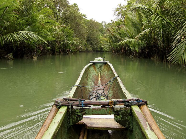 Jade Jungle Resort | All-Inclusive Eco-Luxury Full Resort on 300-Acre Private Reserve - Teakettle, Belize