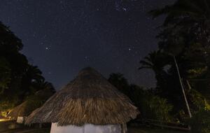 Jade Jungle Resort | All-Inclusive Eco-Luxury Full Resort on 300-Acre Private Reserve