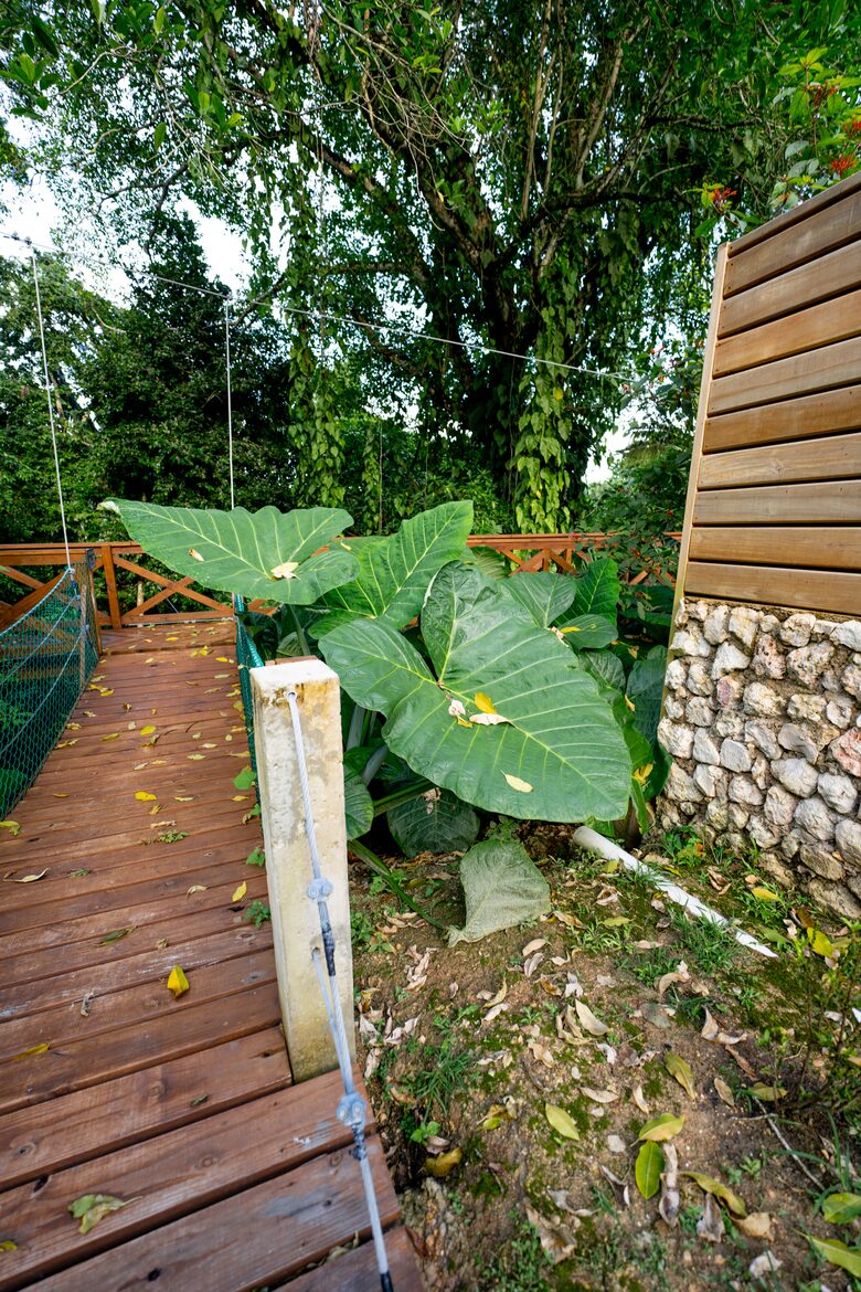 Jade Jungle Resort | All-Inclusive Eco-Luxury Full Resort on 300-Acre Private Reserve - Teakettle, Belize
