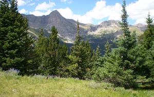 Wildcat Ranch - Westcliffe, Colorado