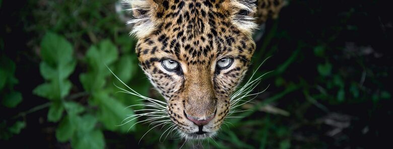 All-Inclusive 7-night TradeWinds AQUA Experience in Belize on TW59 Catamaran with Crew - Placencia, Belize