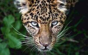 All-Inclusive 7-night TradeWinds AQUA Experience in Belize on TW59 Catamaran with Crew - Placencia, Belize