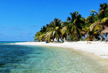 All-Inclusive 7-night TradeWinds AQUA Experience in Belize on TW59 Catamaran with Crew - Placencia, Belize
