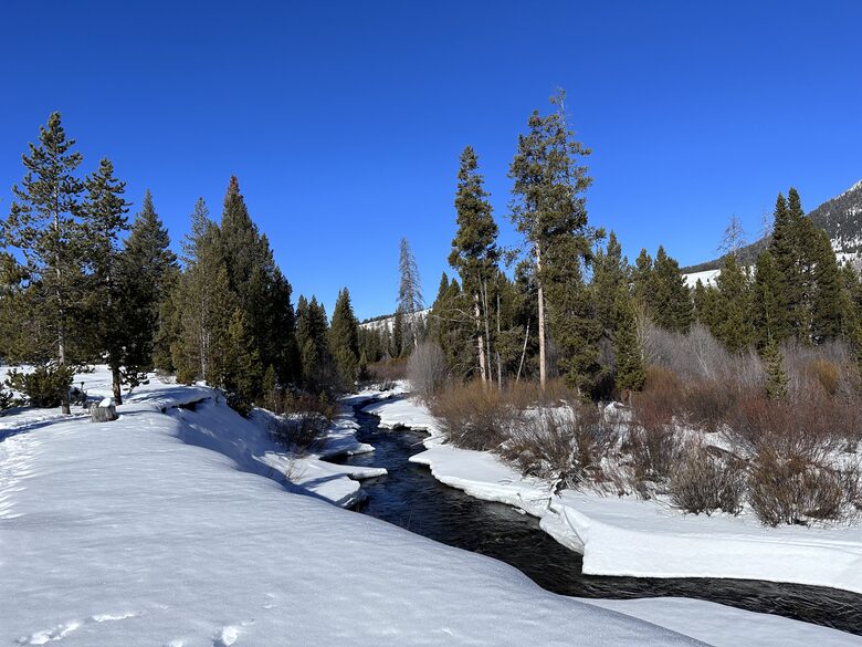 Downhill, cross country, skate skiing and snowshoeing minutes away.