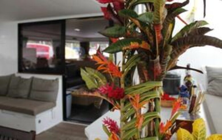 All-Inclusive 7-night TradeWinds AQUA Experience in Antigua on TW60 Catamaran with Crew - Jolly Harbour, Antigua and Barbuda
