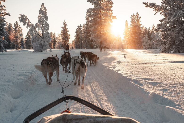A Refined Aurora Retreat Above the Arctic Circle - Levi, Finland