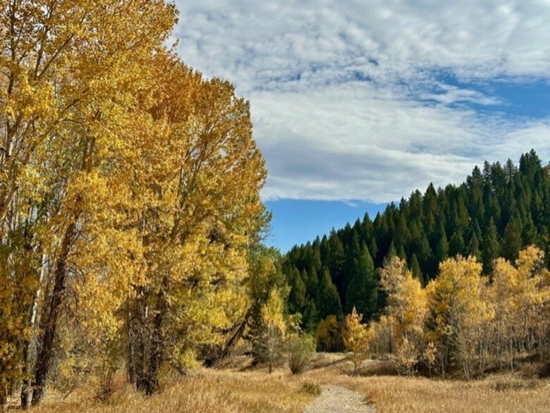 Ketchum Townhome Near Sun Valley Resort - Ketchum, Idaho
