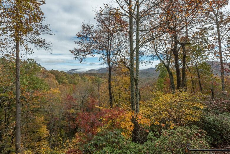 Mountain view from the deck in the Fall