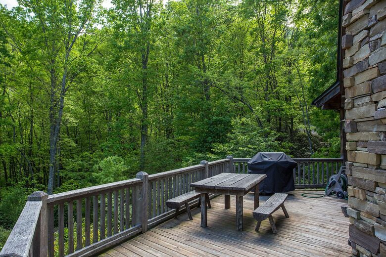 Back porch with picnic table and gas grill