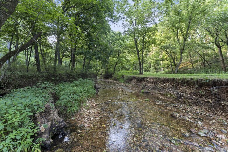 Contemporary Creekside Escape in Northwest Arkansas - Bentonville, Arkansas