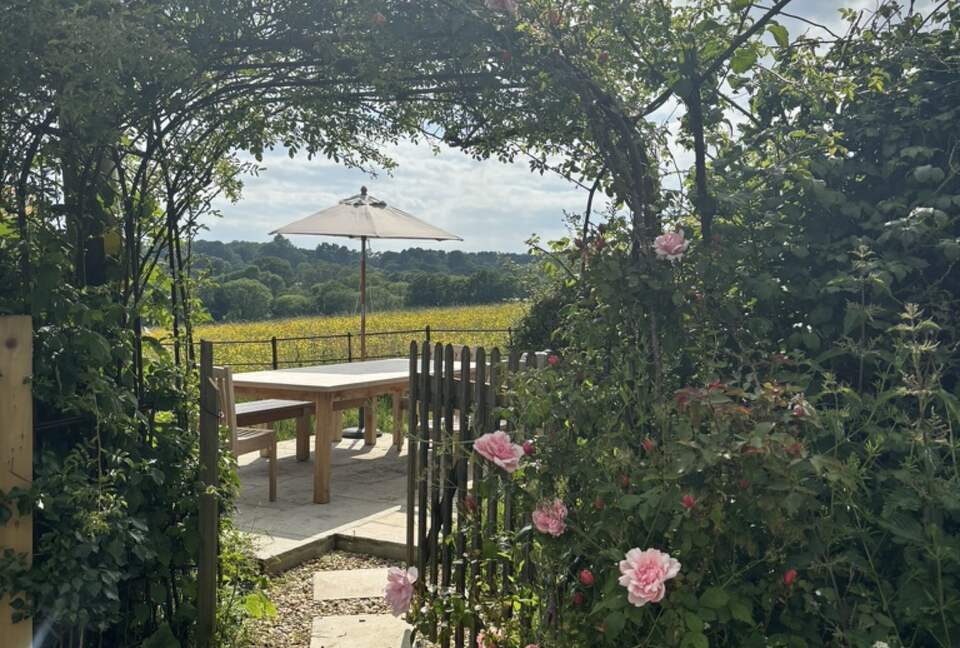 Al fresco dining amongst the roses