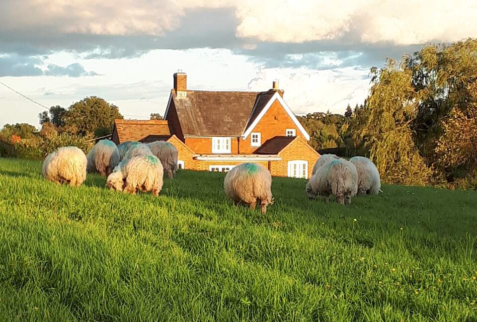 Escape to the country - real working farm on the doorstep.