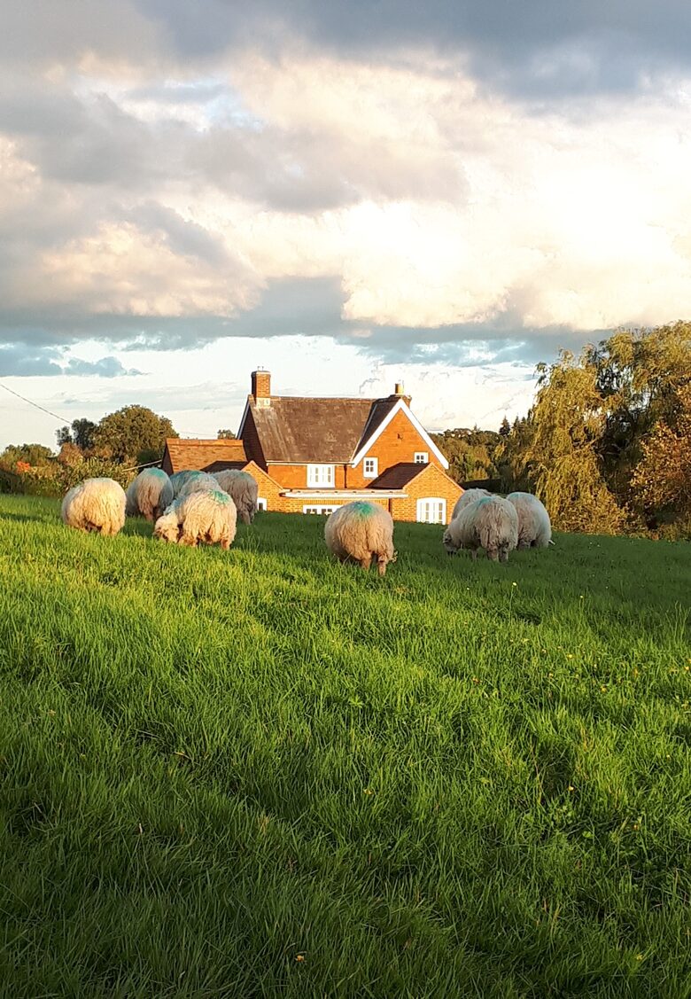 Escape to the country - real working farm on the doorstep.