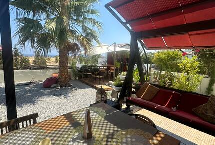 Hollywood swing chair and Bar garden view