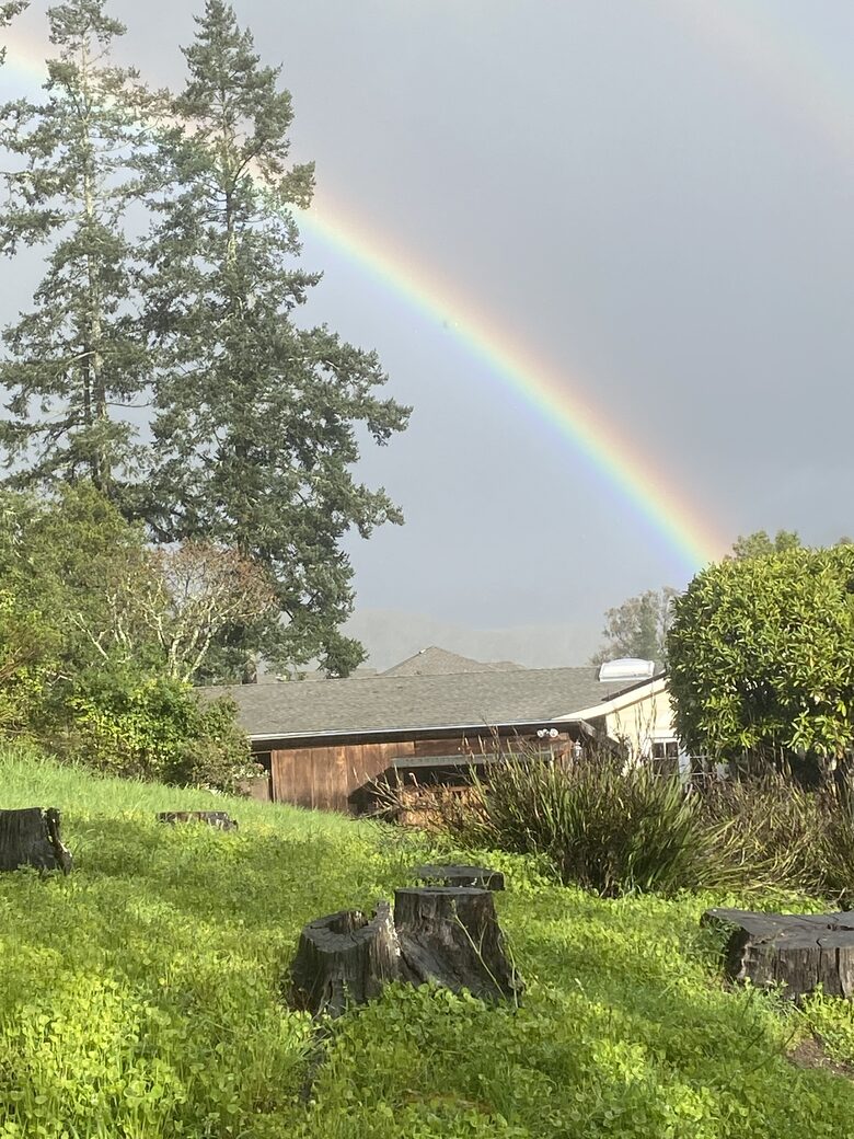Muir Woods Retreat—minutes from Golden Gate Bridge - Mill Valley, California