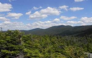 Luxury Stowe Vermont Home - Stowe, Vermont