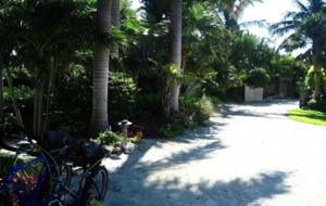 Florida Keys Paradise - Sugarloaf Key, Florida