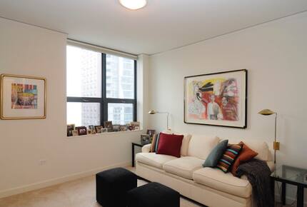 Downtown Chicago, Lake Shore East condo - Chicago, Illinois