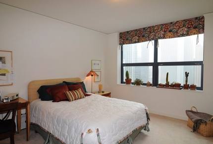 Downtown Chicago, Lake Shore East condo - Chicago, Illinois