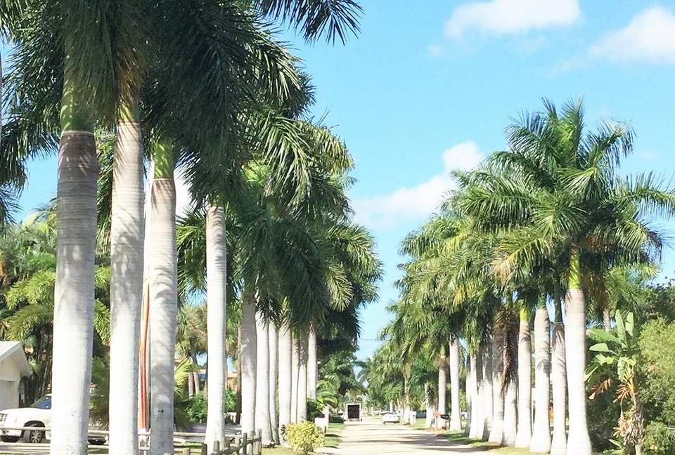 Yacht Club Gem - Cape Coral, Florida